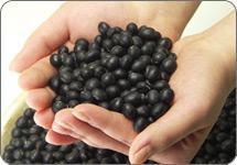 吃黑豆对白癜风患者的辅助治疗有帮助吗?