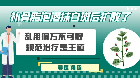 补骨脂枸杞泡酒治疗白斑的功效