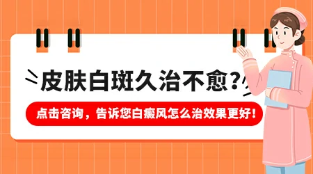 无花果叶泡酒擦白癜风真的有用吗