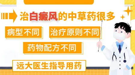 白癜风怕的野草