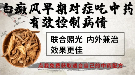 中药调理可以恢复白斑吗