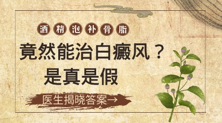 补骨脂泡酒擦白癜风有效吗