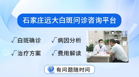 白斑跟白癜风的区别是什么