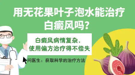 无花果汁真的能治白癜风吗