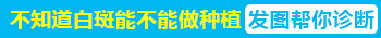 白癜风的新技术黑色素种植