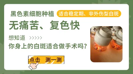 白癜风种植手术后长黑色素岛样子图片