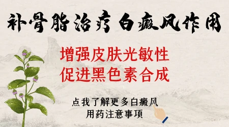 白癜风患处抹完补骨脂爆皮怎么回事