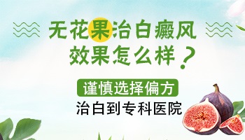 用新鲜无花果白汁涂抹白癜风怎么样